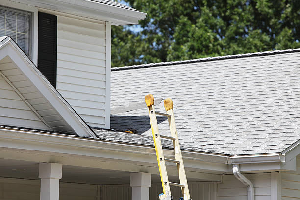 Best Hoarding Cleanup  in Kings Point, NY